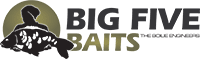 logo-bigfive